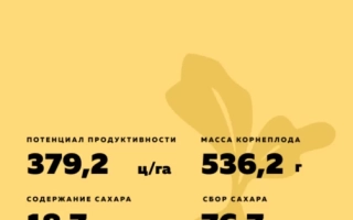 Пакет семян сахарной свеклы Кипунджи СМАРТ - ИКАРУС СМАРТ