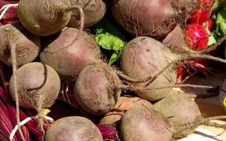 Свекольные корнеплоды с ботвой на фоне - Киборг