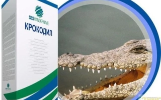 Крокодил