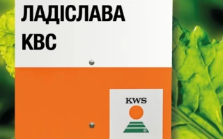 Мешок с семенами сахарной свеклы ЛАДИСЛАВА КВС от KWS