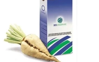 Sugar beet root next to product packaging - Livorno