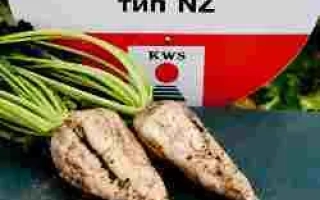 Настя Rz Сr F1