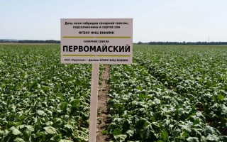 PERVOMAISKYI