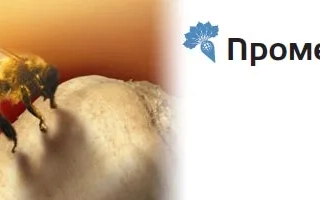 Логотип Промета на фоне сахарной свеклы и пчелы