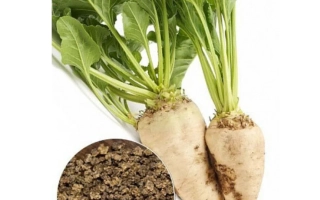 Сахарная свекла RMS 70 с семенами - РМС 70