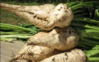 Шевченкивский