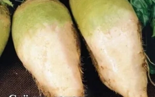 СКМС (А-1 Х 11301)