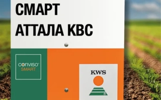 Смарт Аттала КВС