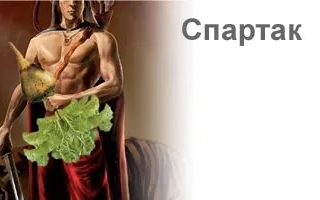 Спартак
