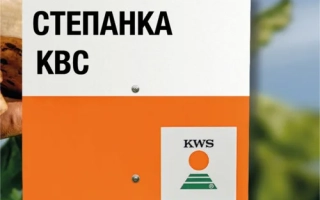 STEPANKA KWS