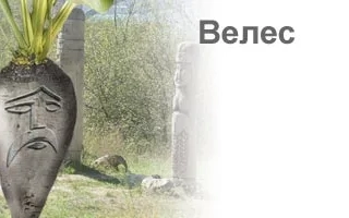 Иллюстрация свеклы с лицом и надписью Велес