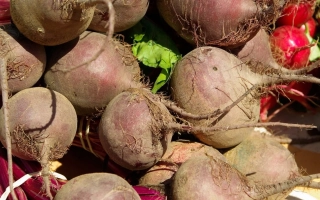 Верхняцький ЧС 63