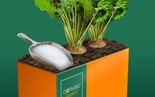 Вомбат Смарт