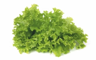 Салат АБОРДАЖ | BOARDING