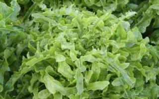 Салат Абракадабра