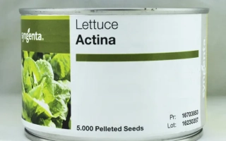 Семена салата Actina в банке - Актина