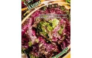 Пакет семян салата мини Яхонт