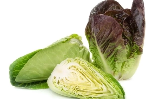 Салат Алайн | Alaine — свежий листовой салат с темно-зелеными и фиолетовыми листьями, нарезанный и целый.