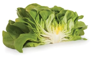 Салат Аквіно на белом фоне - Аквино