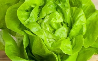 Свежий зеленый салат на деревянной поверхности - АТТРАКЦИОН