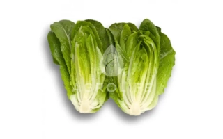 Салат Айсберг на белом фоне - Айвона