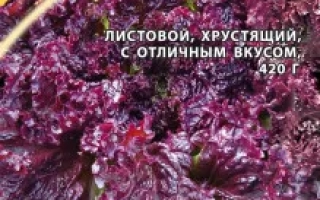Пакет семян салата Барбадос с изображением листьев