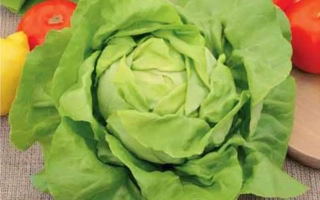 Берлинский Желтый