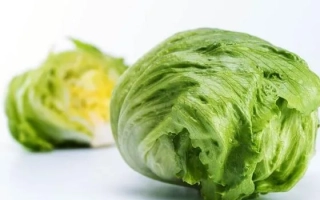 Свежий салат Чаконера на белом фоне