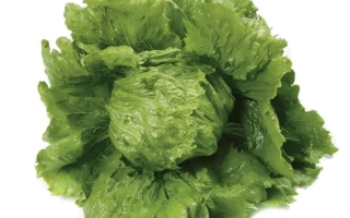 Диамантинас