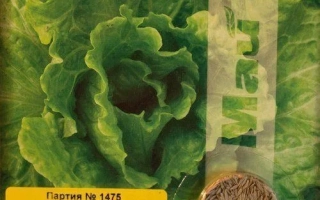 Пакет семян салата Думка с изображением листьев салата и названием на русском языке