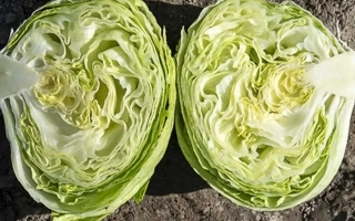 Два куска салата Едуардо, нарезанные пополам, на земле