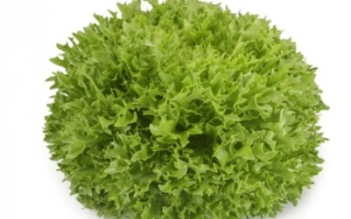 Салат Экстемп