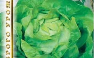 Пакет семян салата Эвелина с изображением листьев салата и овощей