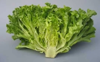 Салат Фристина на сером фоне