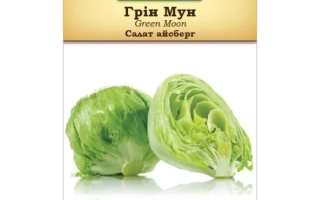Пакет семян салата Грин мун (Green Moon) с изображением листьев