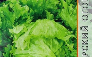 Пакет семян салата ГРЕЙТ ЛАЙКС 659