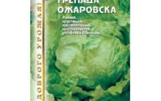 Пакет семян салата Кошанный Гренада Ожаровка - ГРЭНАДА ОЖАРОВСКА