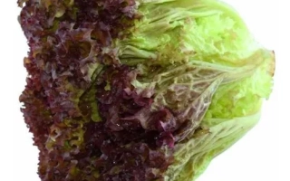 Салат Гренобль