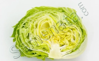 Салат Айс Мюзик, нарезанный пополам, на белом фоне