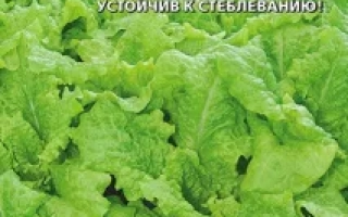 Пакет семян салата Кaramelka с изображением листьев салата - КАРАМЕЛЬКА