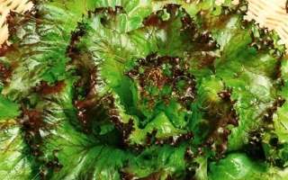 Пакет семян салата Каравай