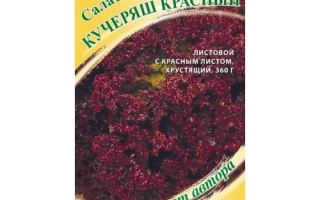 Пакет семян салата Кучеряш красный