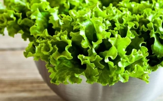 Салат Кучеряш Зеленый в белой миске на деревянной поверхности