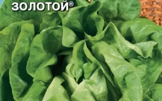 Пакет семян салата ЛЕТНИЙ ЗОЛОТОЙ