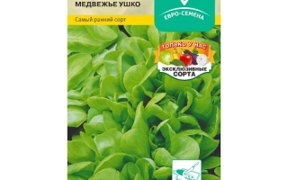 Медвежье Ушко