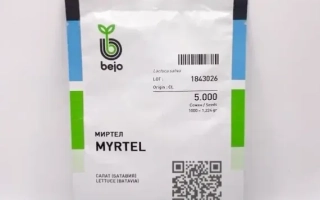 Пакет семян МИРТЕЛ от бренда bejo