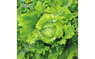 Пакет семян салата ОЛИМП 113