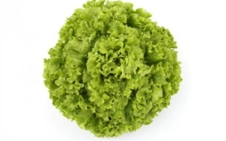 Салат ОЛМЕТИ на белом фоне