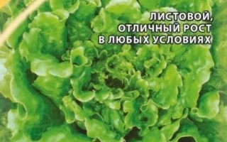 Пакет семян салата Персей с изображением листьев