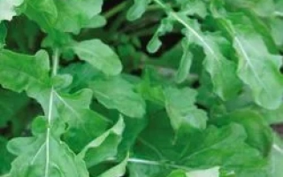 Салат Покер